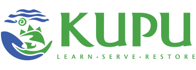 Kupu_Logo_horizontal_NOBACKGROUND Kupu_Logo_horizontal_NOBACKGROUND